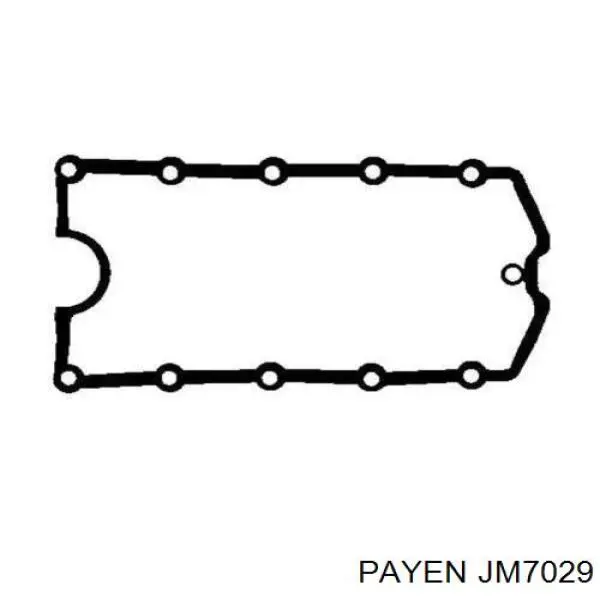 JM7029 Payen прокладка клапанной крышки