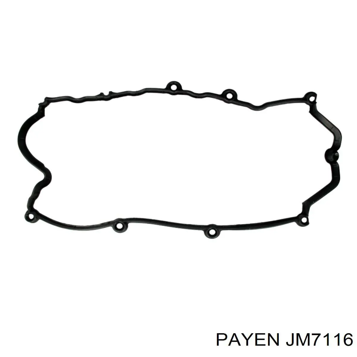 JM7116 Payen