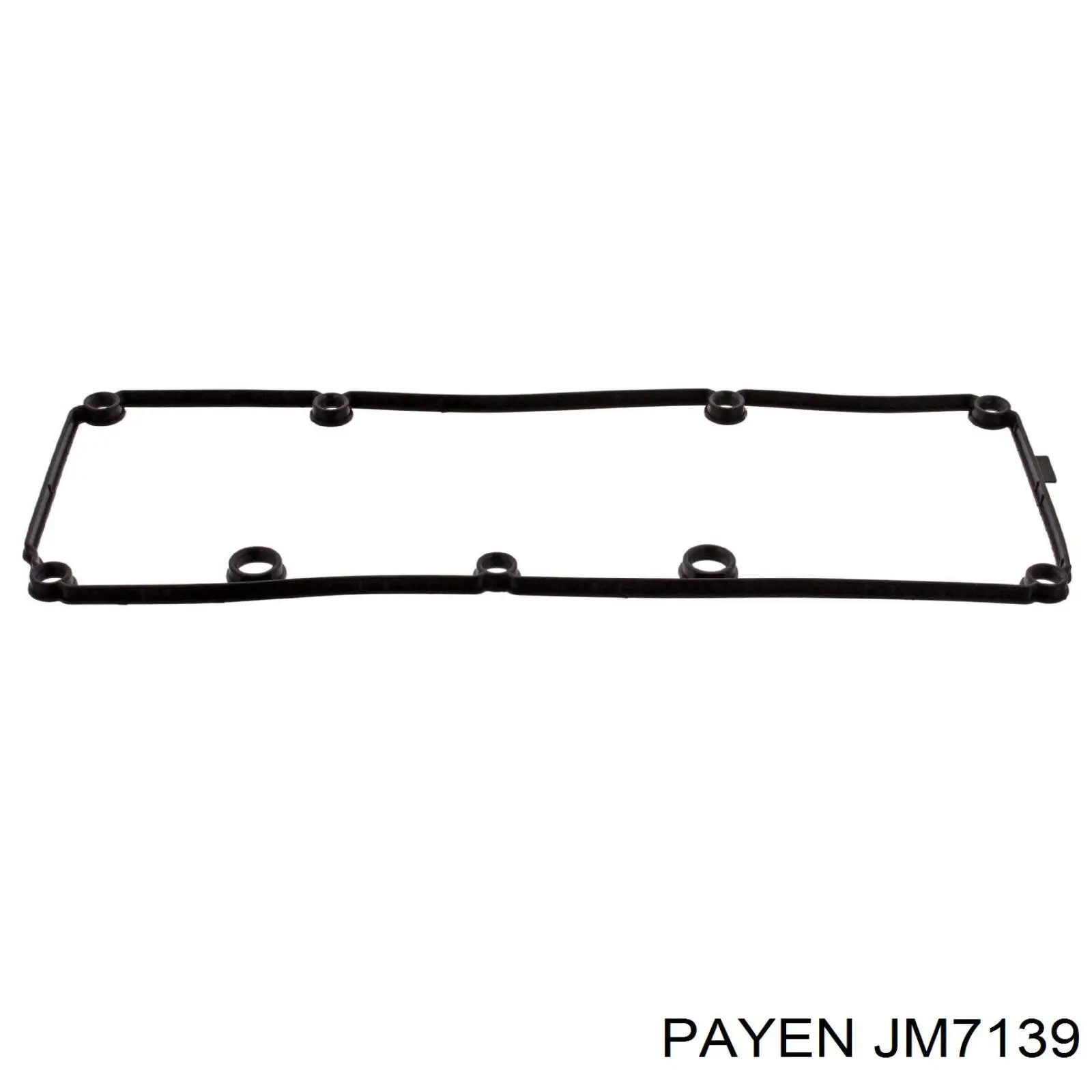 JM7139 Payen