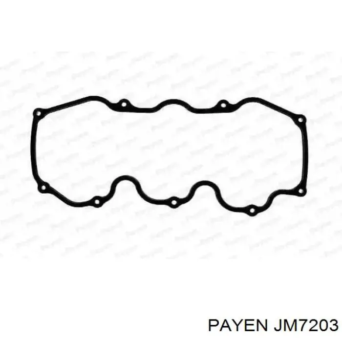 Прокладка крышки двигателя Payen JM7203 цена, от 6.56 USD