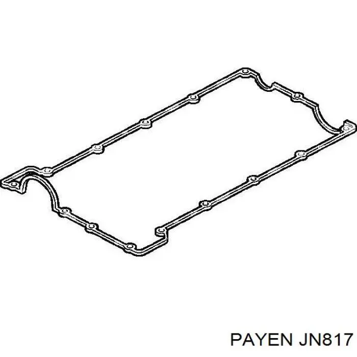 JN817 Payen