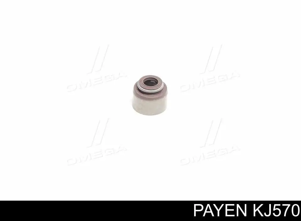KJ570 Payen сальник клапана (маслосъемный, впуск/выпуск)