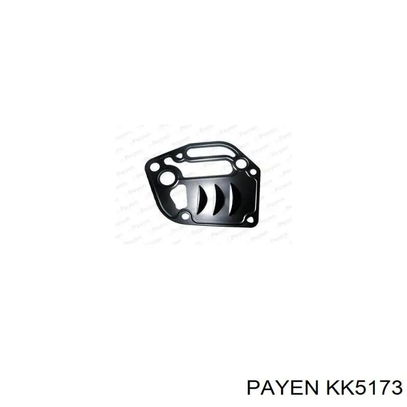 KK5173 Payen прокладка адаптера масляного фильтра