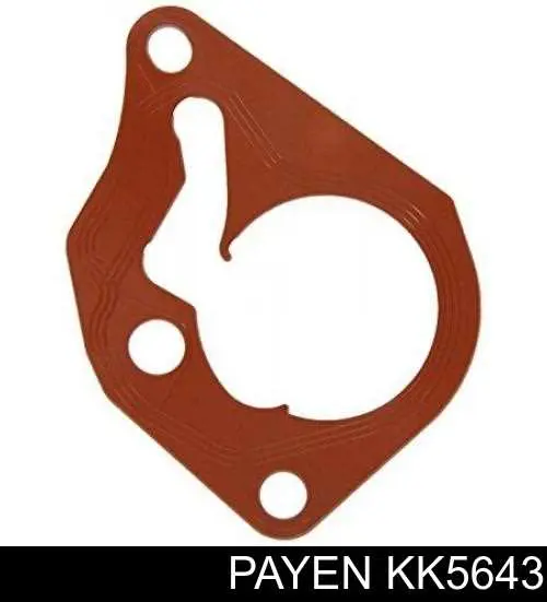 KK5643 Payen прокладка вакуумного насоса