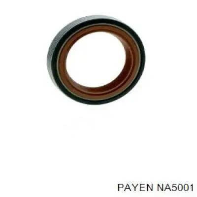 NA5001 Payen