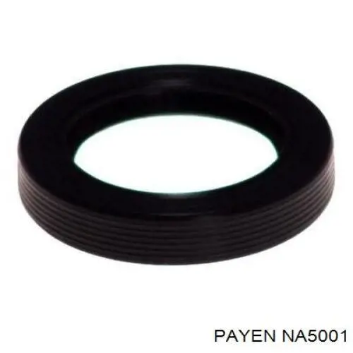 NA5001 Payen