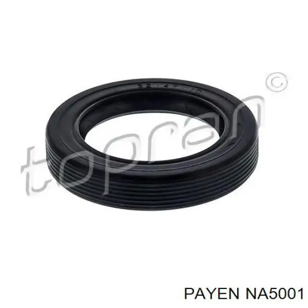 NA5001 Payen