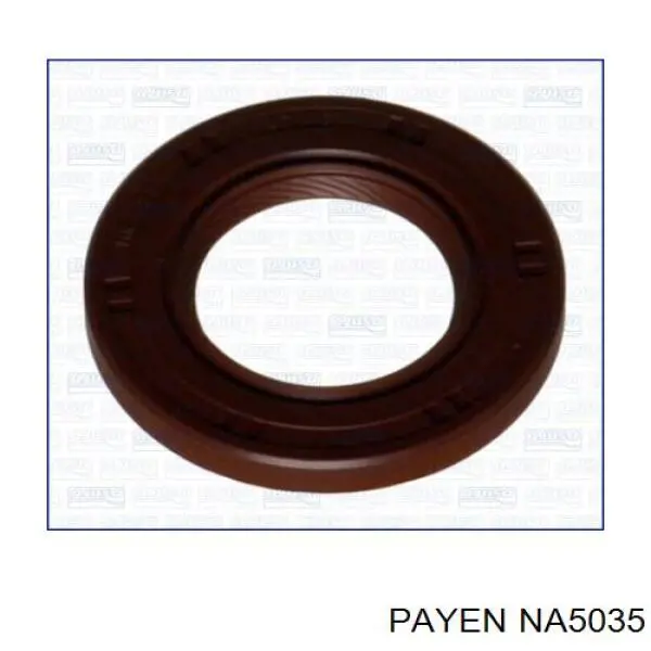 NA5035 Payen