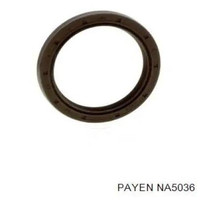 NA5036 Payen Сальник коленвала двигателя, передний