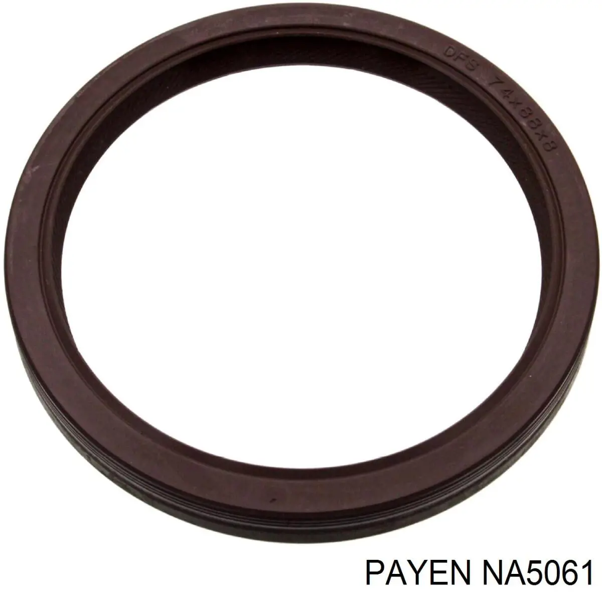 NA5061 Payen