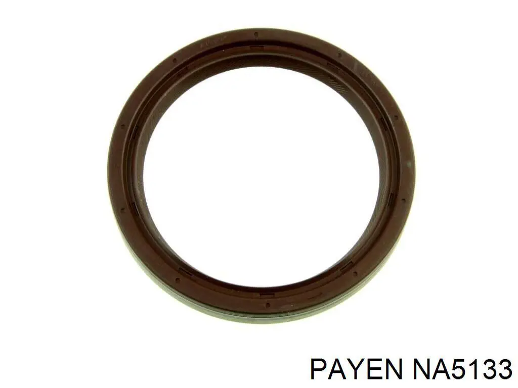 NA5133 Payen