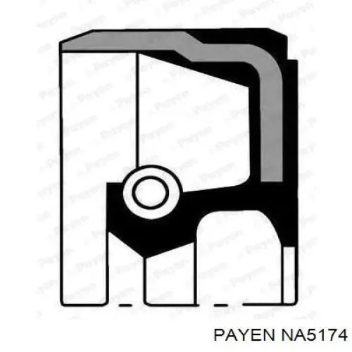 NA5174 Payen