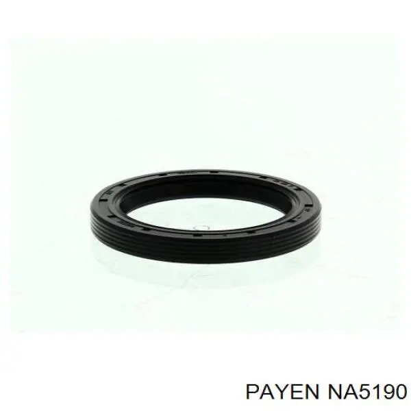 NA5190 Payen