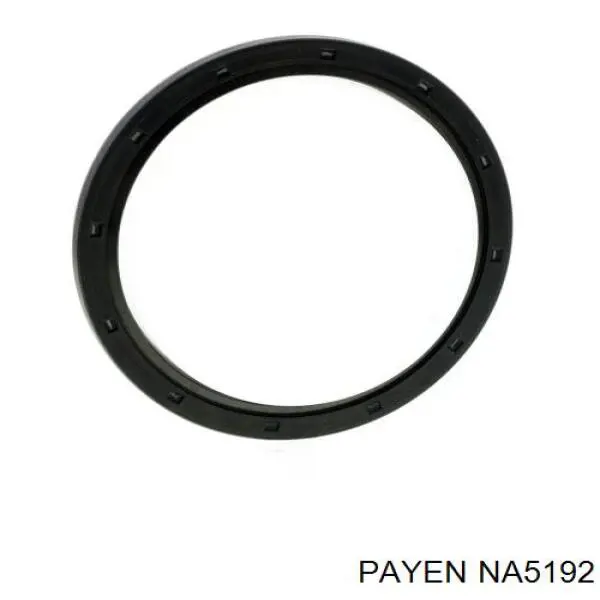 NA5192 Payen сальник коленвала двигателя задний