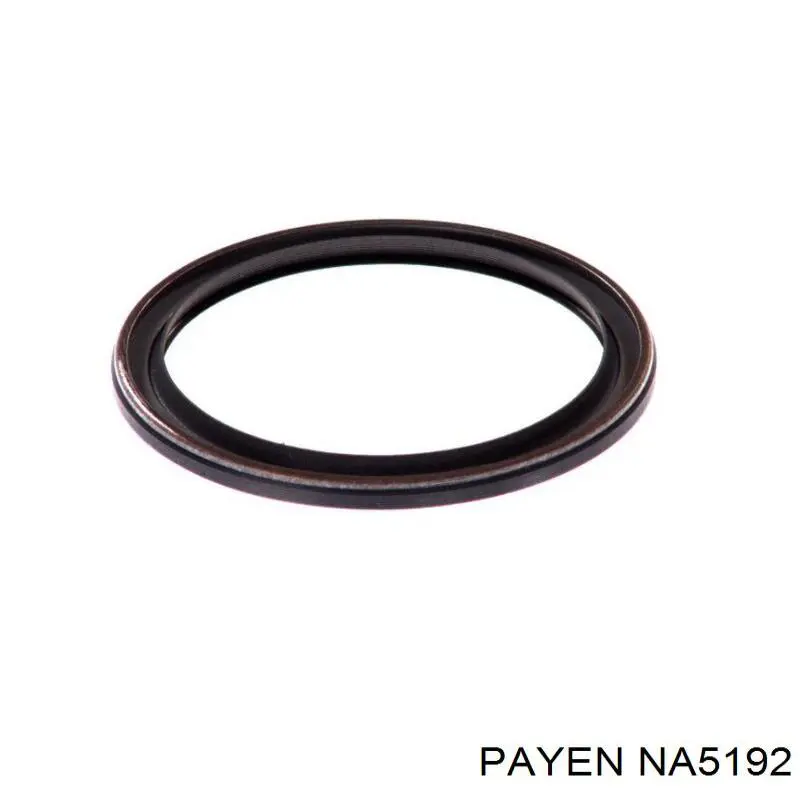 NA5192 Payen