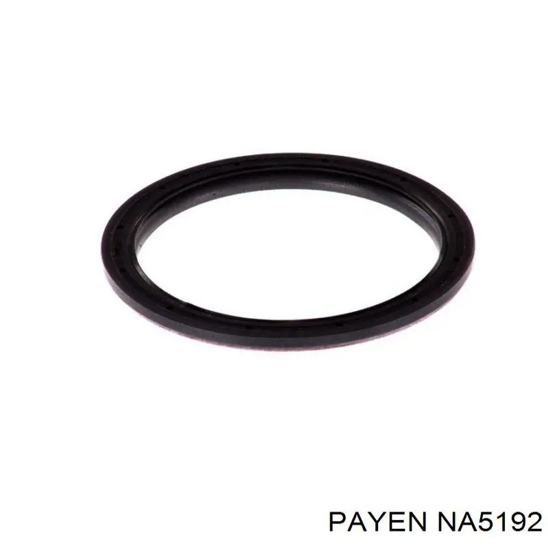Сальник коленвала задний Payen NA5192 цена, от 11.76 USD