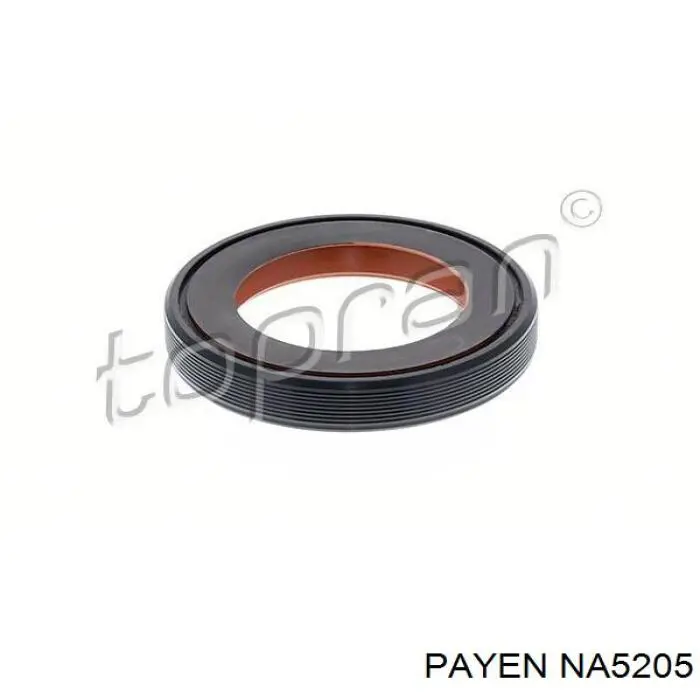 NA5205 Payen