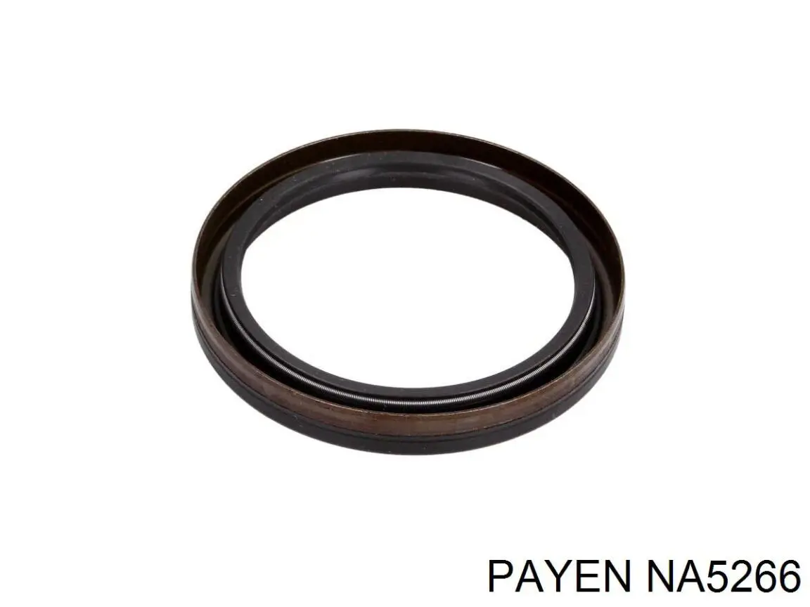 NA5266 Payen