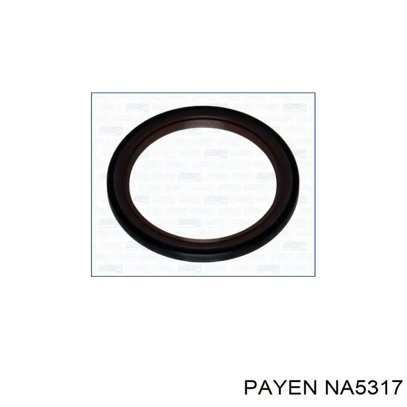NA5317 Payen