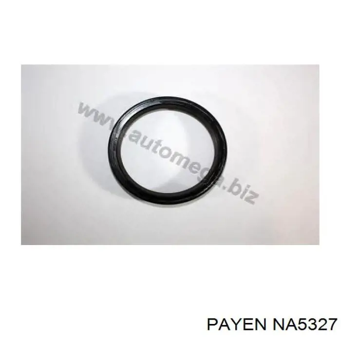 NA5327 Payen