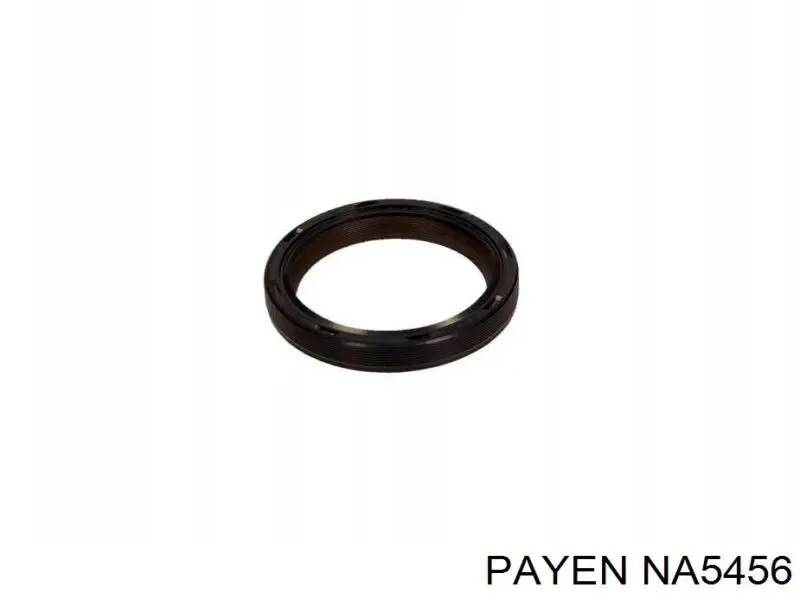 NA5456 Payen