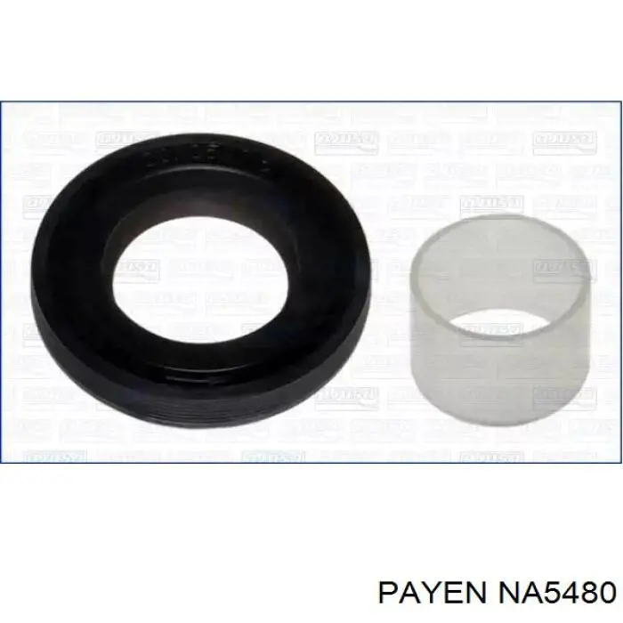 NA5480 Payen