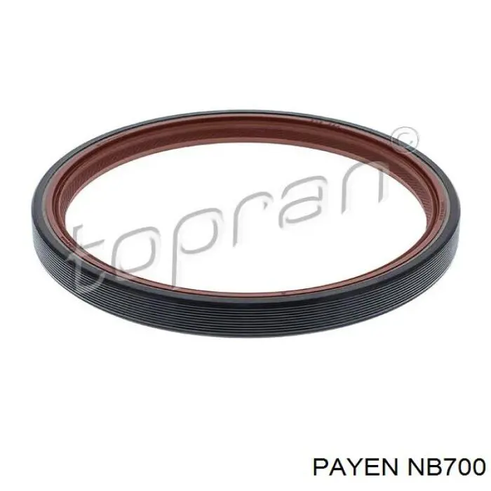 Сальник коленчатого вала Payen NB700 цена, от 4.69 USD