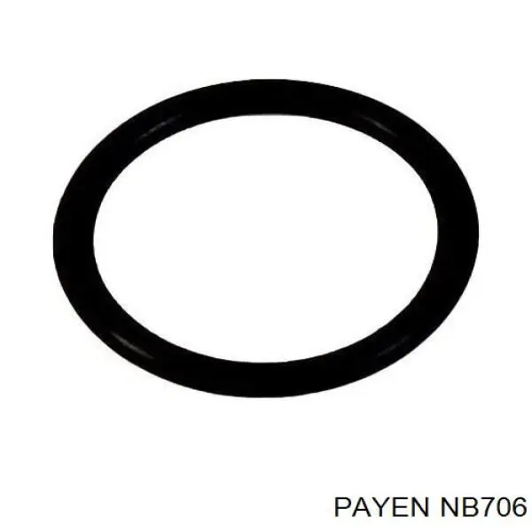 40005020 Fiat/Alfa/Lancia Сальник двигателя, распредвала
