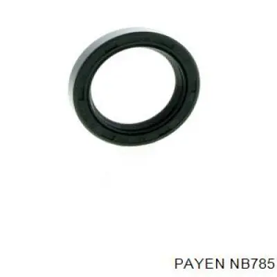 NB785 Payen Сальник двигателя, распредвала