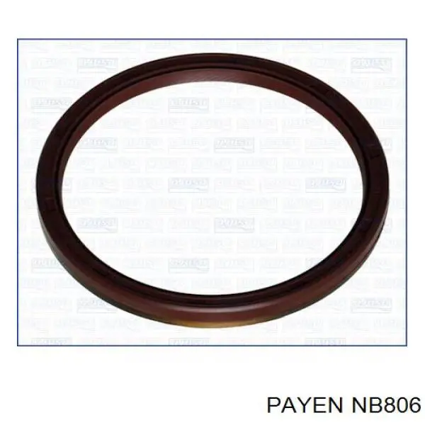 NB806 Payen