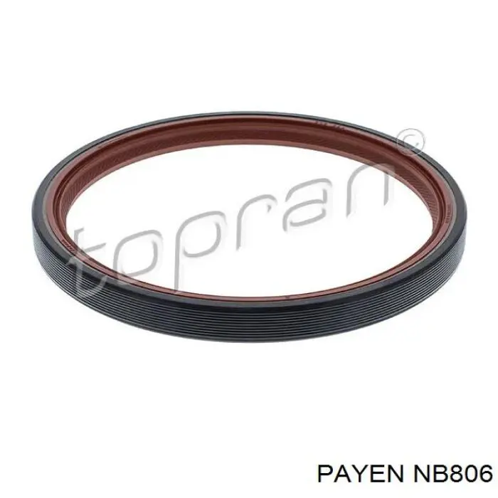 Сальник коленвала задний Payen NB806 цена, от 10.79 USD