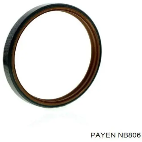 NB806 Payen