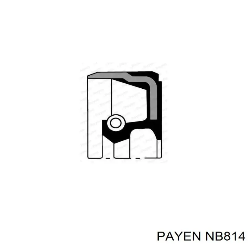NB814 Payen сальник коленвала двигателя задний