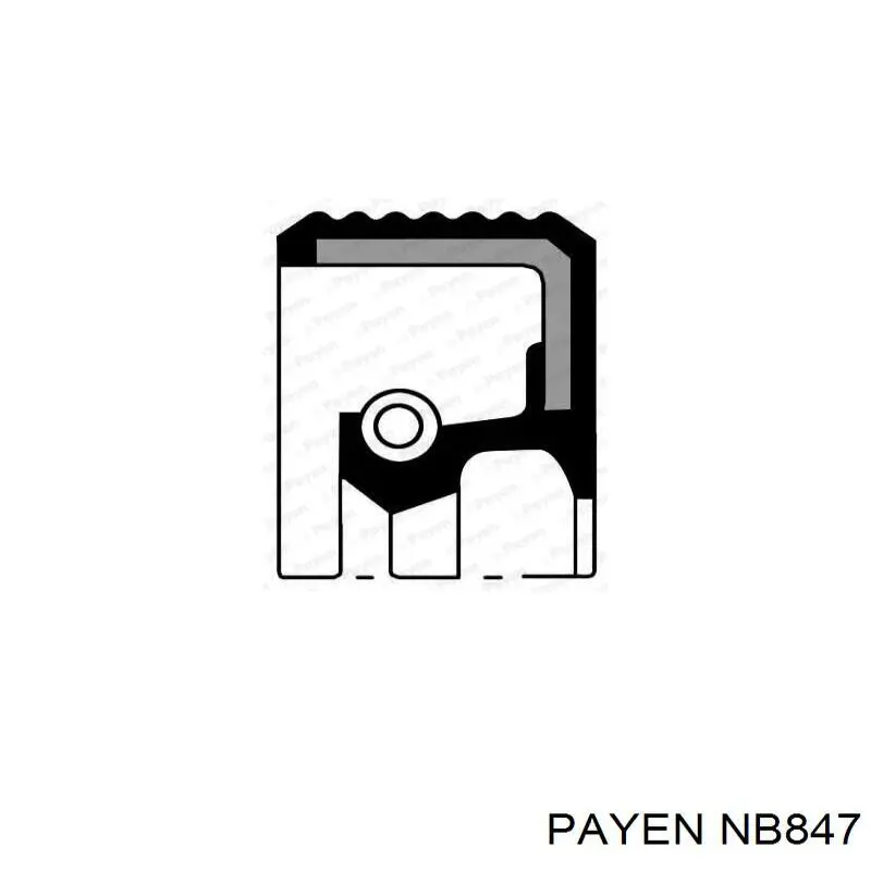 Купить NB847 Payen Сальник коленвала задний