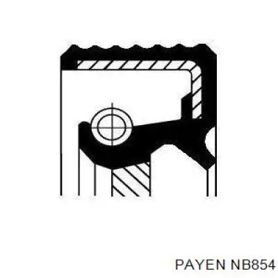 NB854 Payen сальник коленвала двигателя задний