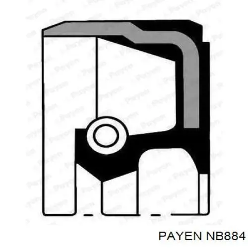NB884 Payen сальник коленвала двигателя передний