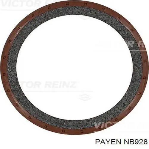 Сальник коленчатого вала Payen NB928 цена, от 17.54 USD