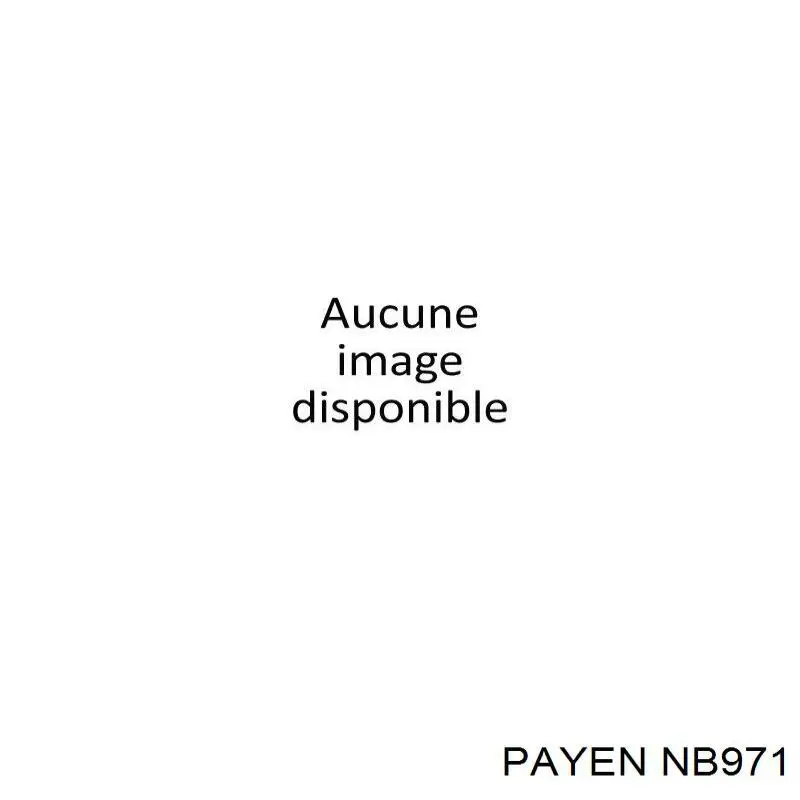 Купить NB971 Payen Передний сальник коленвала