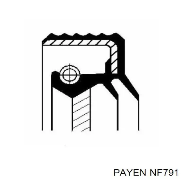 NF791 Payen