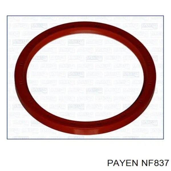 NF837 Payen сальник коленвала двигателя задний