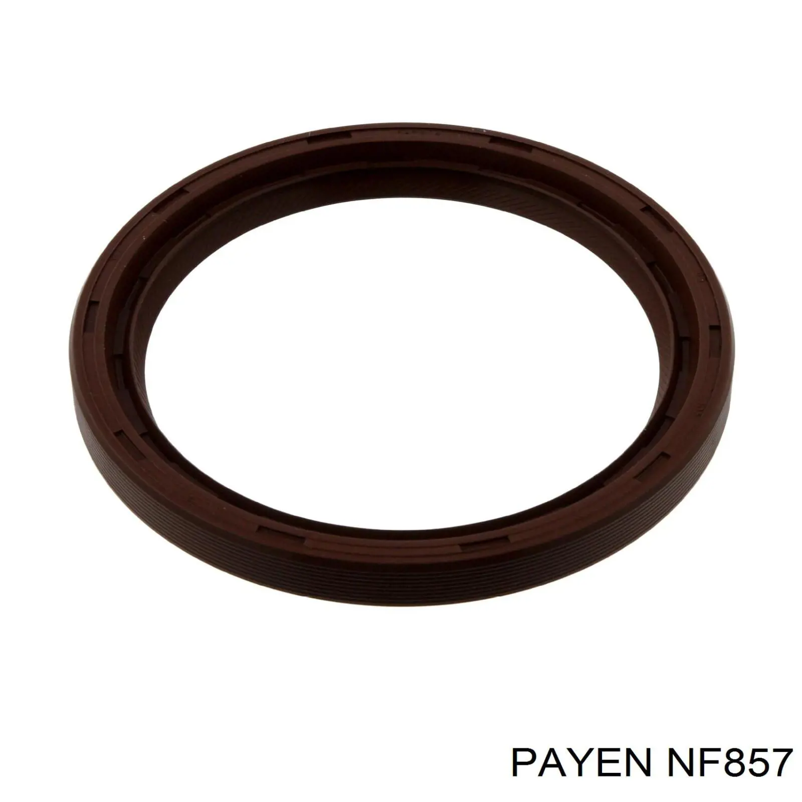 NF857 Payen Сальник коленвала двигателя, задний