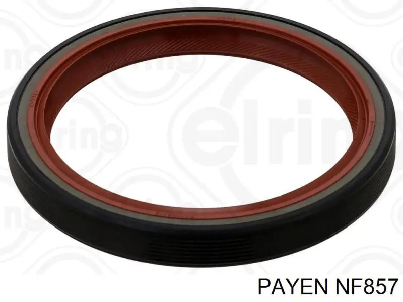 NF857 Payen