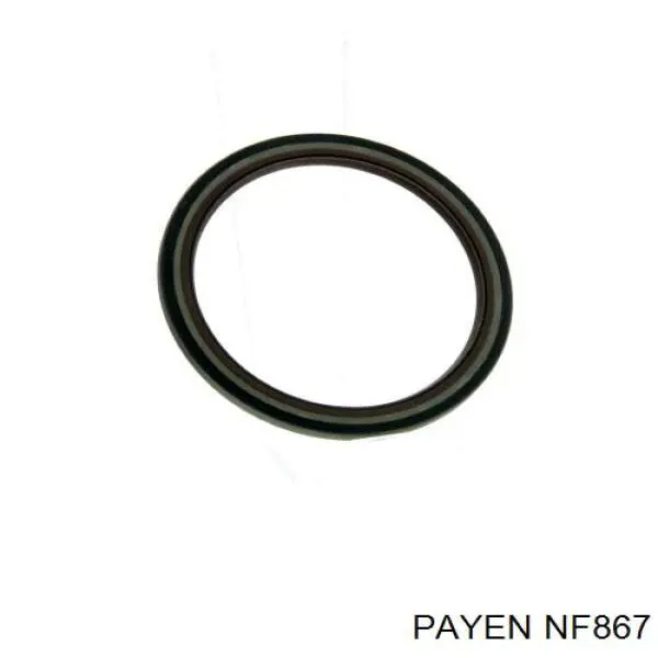 NF867 Payen сальник коленвала двигателя задний
