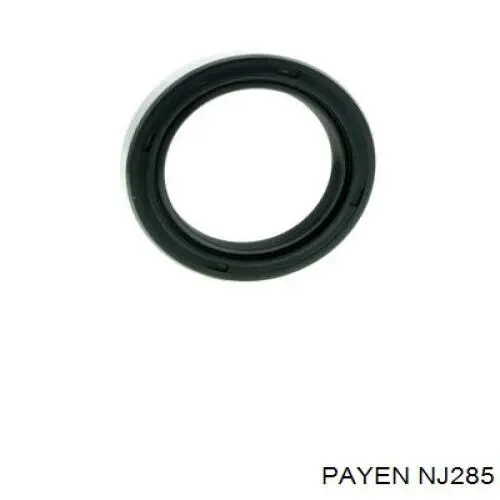 Compre NJ285 Payen Vedação da árvore distribuidora de motor