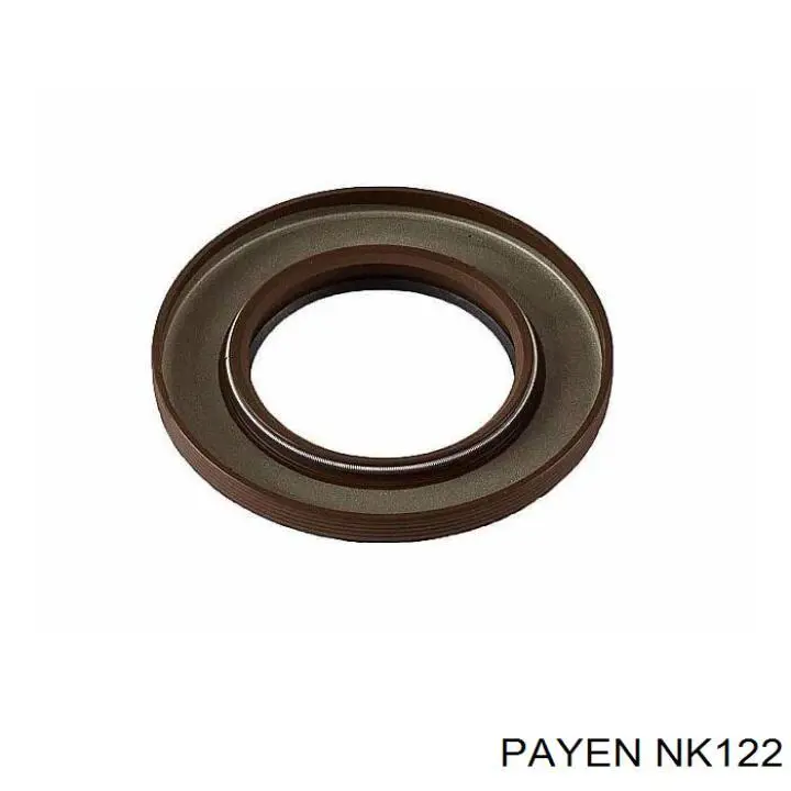NK122 Payen 