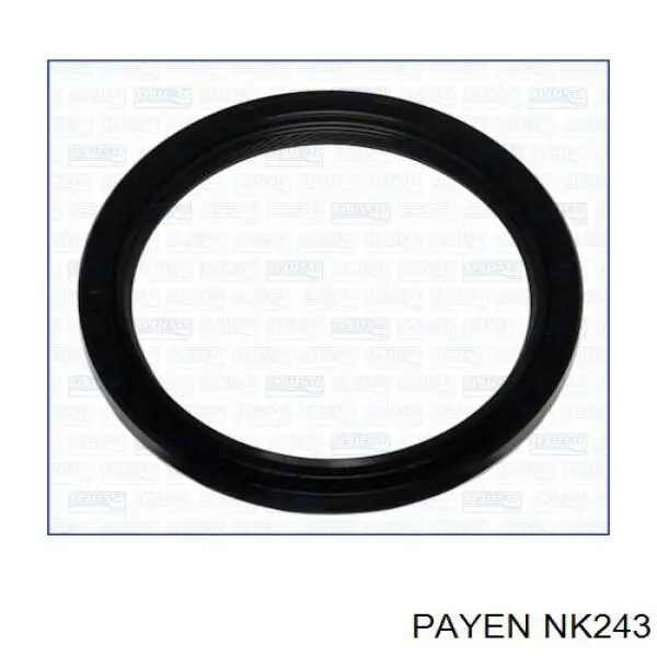  NK243 Payen