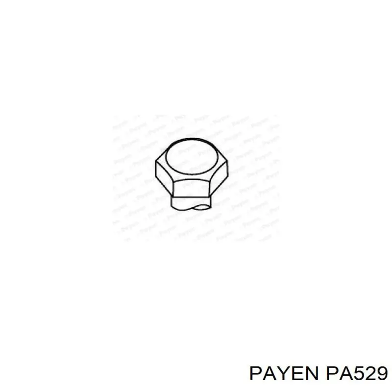 Сальник клапана (маслосъёмный) выпускного Payen PA529