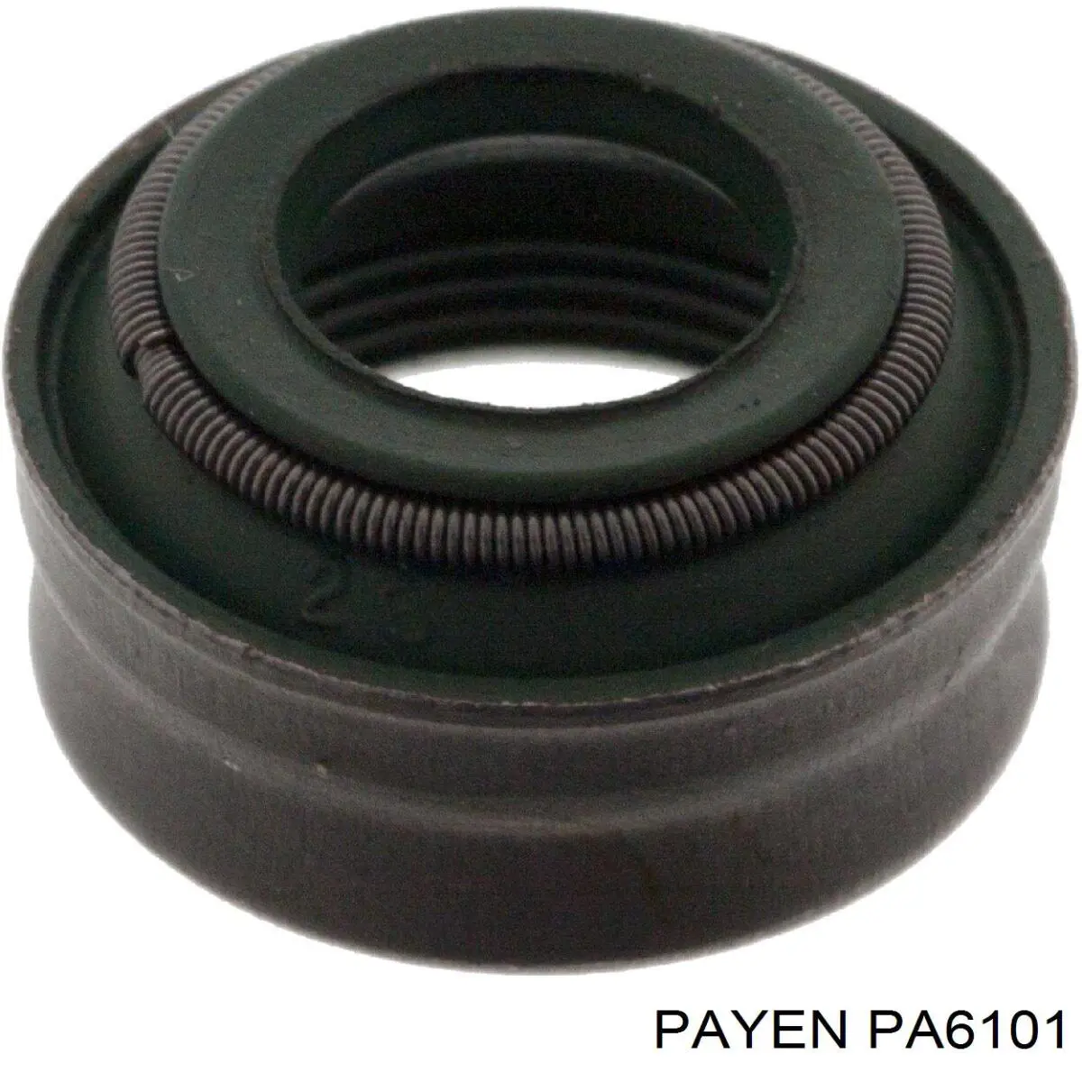 PA6101 Payen