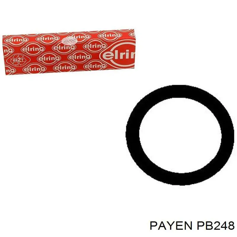 PB248 Payen прокладка клапанной крышки двигателя, кольцо