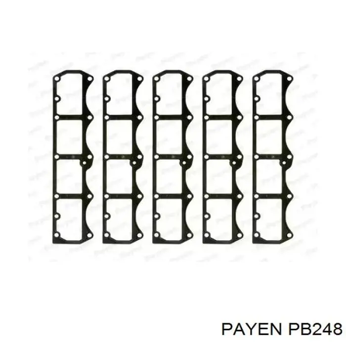 Прокладка клапанної кришки двигуна, кільце PB248 Payen